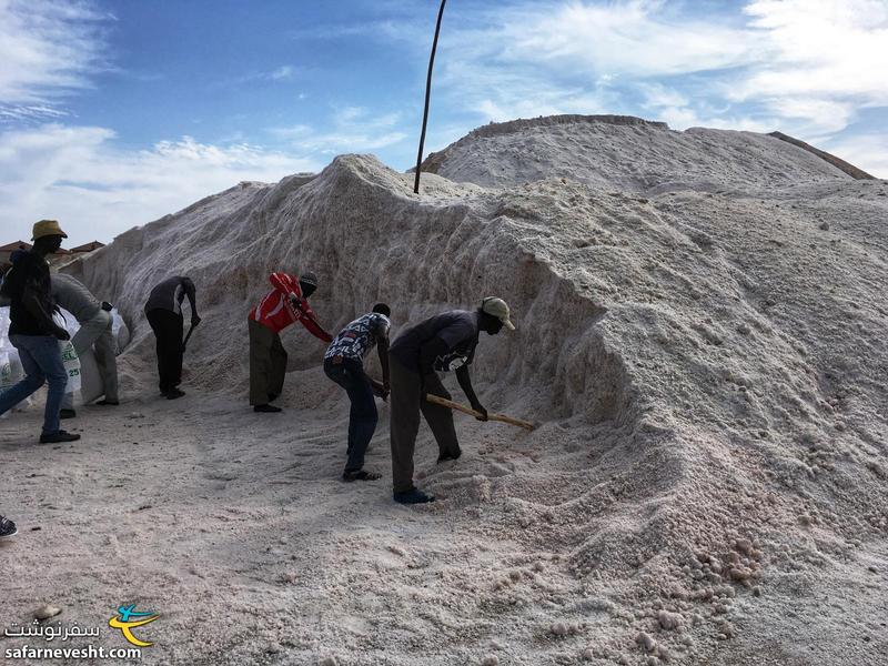 کارگران مشغول استحصال نمک