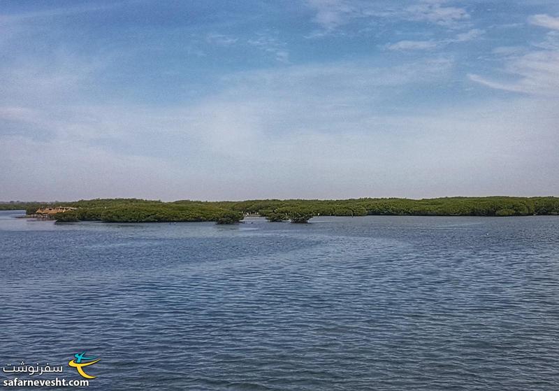 جنگل های حرا (مانگرو) در تالابی که جزیره ها رو احاطه کرده. این تالاب نهایتا به اقیانوس اطلس متصل میشه