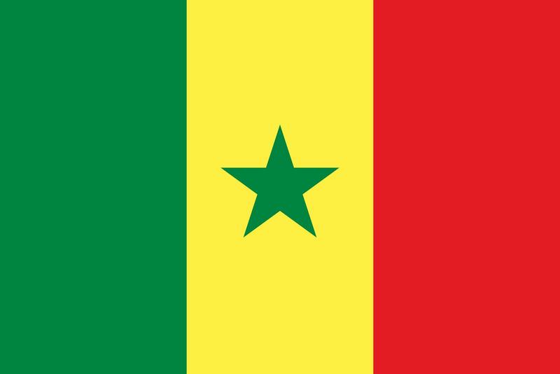 پرچم کشور سنگال که رنگ هاش شبیه رنگ پرچم خیلی از کشورهای آفریقایی هست