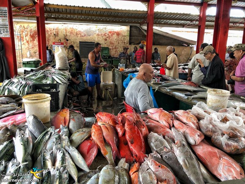 بازار ماهی سیشل