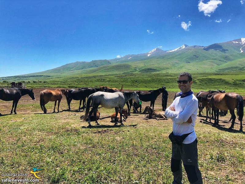 اسب های قرقیزستان